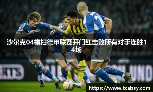 沙尔克04横扫德甲联赛开门红击败所有对手连胜14场