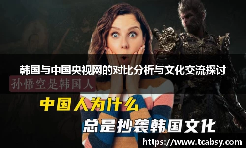 韩国与中国央视网的对比分析与文化交流探讨